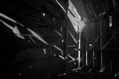 Bodie Abstract