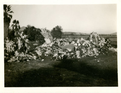 Roy Charles Carter Funeral.jpg