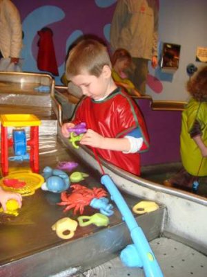 the water table is their favorite
