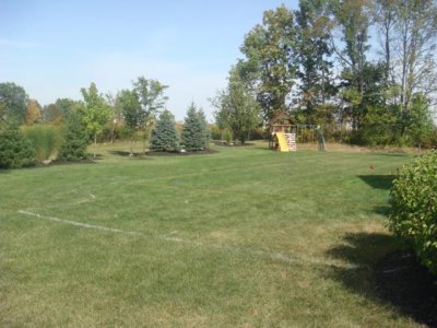 the soccer field that was