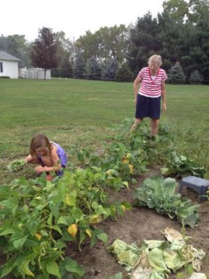 helping grandma pick green beans