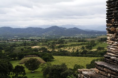 _MG_2481.jpg