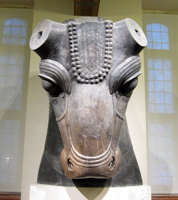 Colossus  bull head from Persepolis 0397
