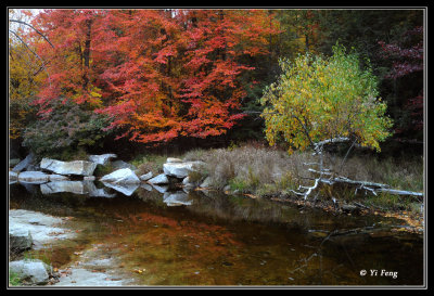 10-13-08__084s.jpg