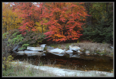 10-13-08__081s.jpg