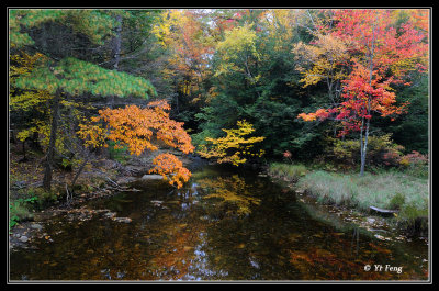 10-13-08__004.jpg