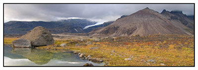 DSC_1176.jpg