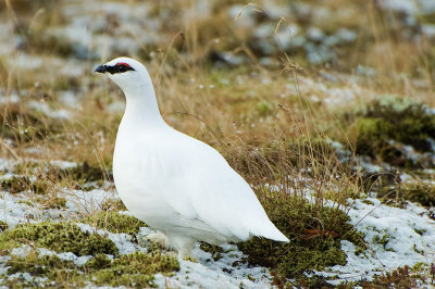 DSC_2194.jpg