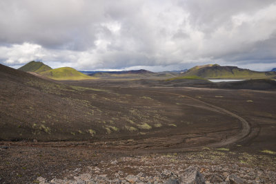 DSC_3375.jpg