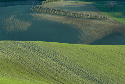 g1/46/537846/3/93220501.74XxVVkI.jpg