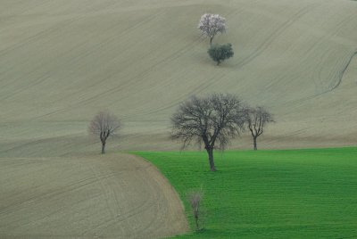g1/46/537846/3/93220618.m1N8wRoc.jpg