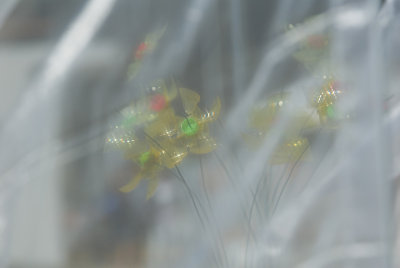 g1/46/537846/3/97383351.6MnGXxue.jpg
