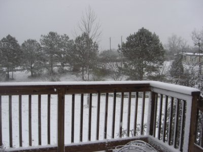 Snow 1 March 2009