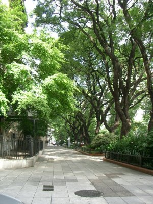 Buenos Aires street 2.JPG