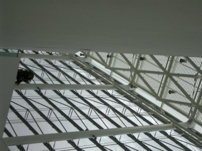 MALBA ceiling