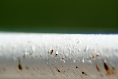 DSCF0283-1.jpg