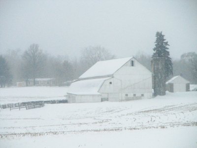 country winter