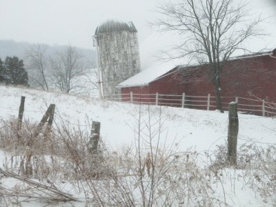 snowy pasture