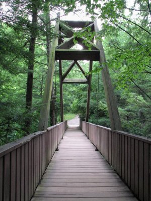 bridge over the stream at old man's cave