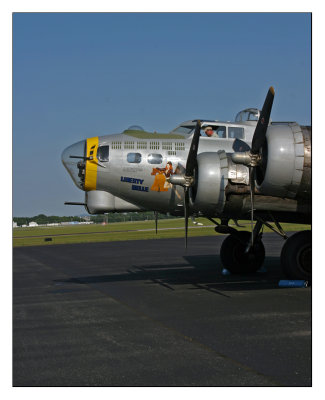 liberty belle