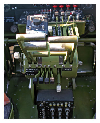 liberty belle