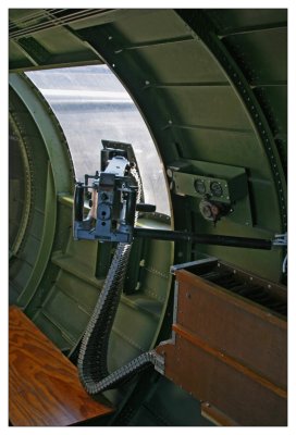 liberty belle