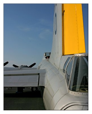 liberty_belle