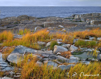 Grve  et battures - Rocky Shore