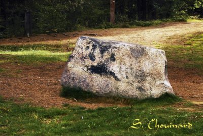 Roche rectangulaire DSC01385 .jpg