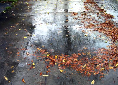 Pluie d automne - Fall rain