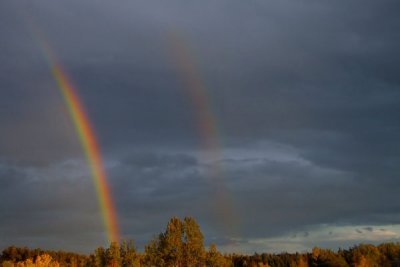 Arc-en-ciel double - They come by two