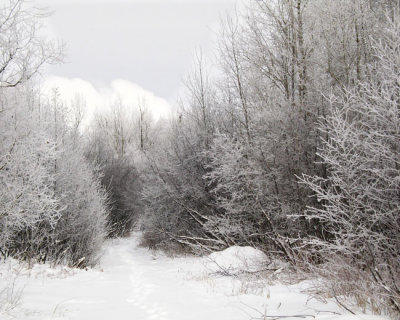 g1/46/598146/3/90332753.JjNW1p3F.jpg
