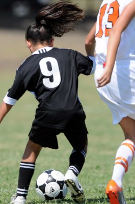 20100905_g3_02.jpg
