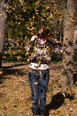 20081018 Projet portefolio Camille pict0047.jpg