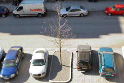 TransferredImage_370.jpg