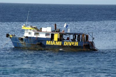 Miami Diver -PICT0230.jpg