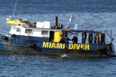 Miami Diver -PICT0232.jpg
