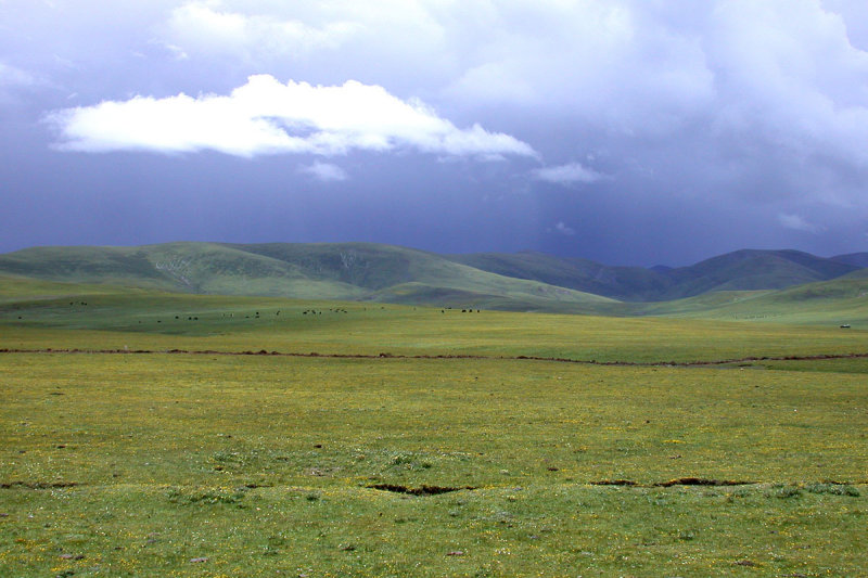 Madou-Yushu, Qinghai