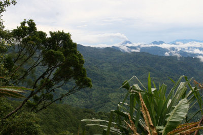 View over Mt. Bagana volcano