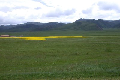 Gong He-Er La Pass, Qinghai