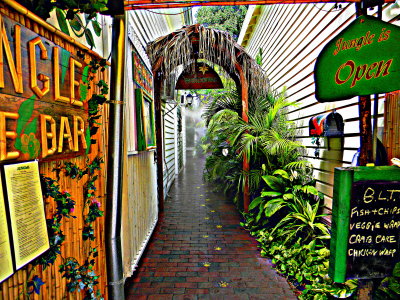 The Jungle