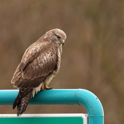 g1/46/749246/3/109403711.EOHaXVUs.jpg