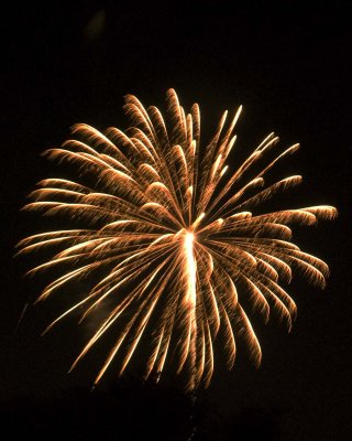 3 Fireworks July 3rd Hagen Park Rancho Cordova.jpg
