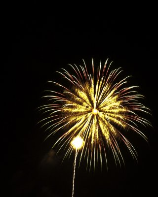 9 Fireworks July 3rd Hagen Park Rancho Cordova. Ca.jpg