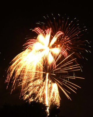 11 Fireworks July 4th Hagen Park Rancho Cordova Ca.jpg