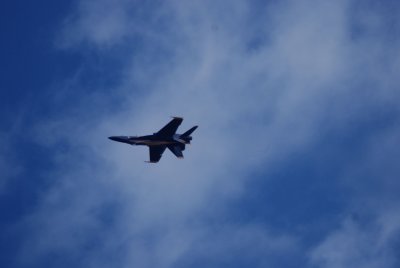DSC_0050a.jpg