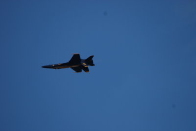 DSC_0056.jpg