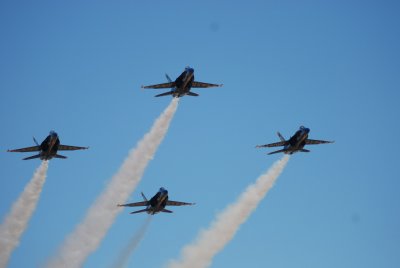 Blue anbles8.jpg