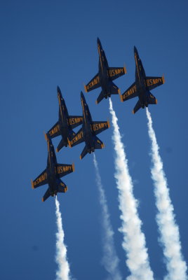 Bue angles9.jpg