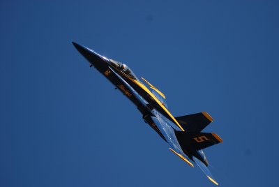 Blue angles10.jpg